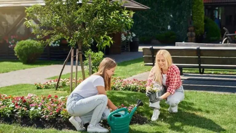 Garden Advice Homenumental