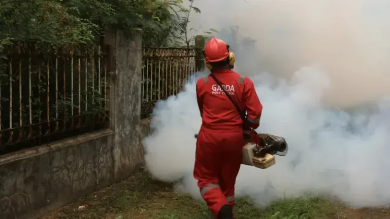 How to Spot Infestation Trouble Before It Becomes a Major Repair