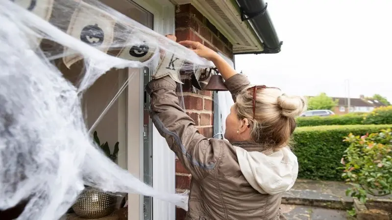 A Homeowner’s Guide to Attic Maintenance and Pest Prevention