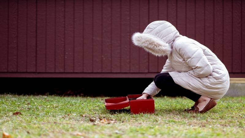 What Is a Septic Tank Riser and Why Should Every Homeowner Install One?