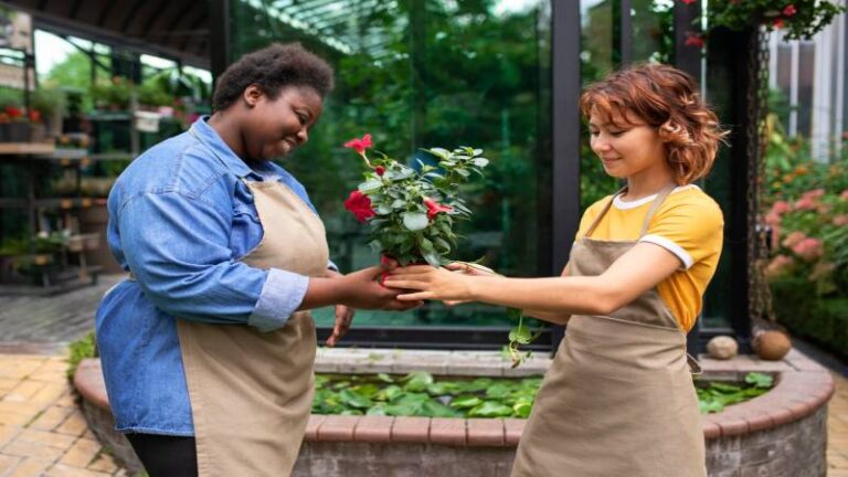 Garden Advice Homenumental