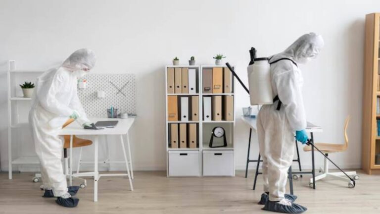 Affordable Pest Control Strategies: Effective Tips for Identifying and Preventing Pest Infestations in Your Home