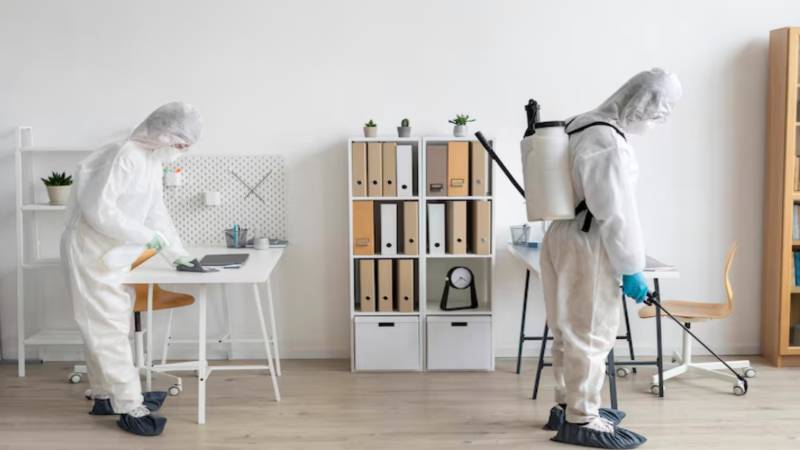Affordable Pest Control Strategies: Effective Tips for Identifying and Preventing Pest Infestations in Your Home