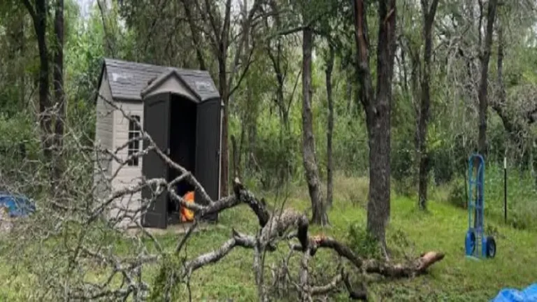 Tree Service