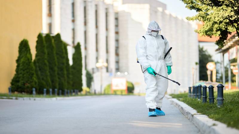 Effective Pest Control Solutions in Bowral: Protect Your Home with Southern Highlands Pest Control