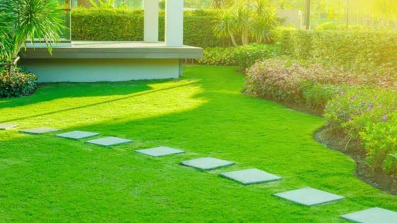 Choosing a Landscaping Company: A Homeowner's Checklist