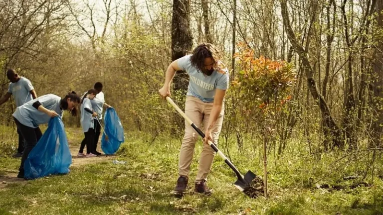 Spring Garden Waste