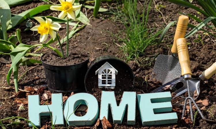 A Practical Lawn Care Calendar for Bentonville, Arkansas Homes
